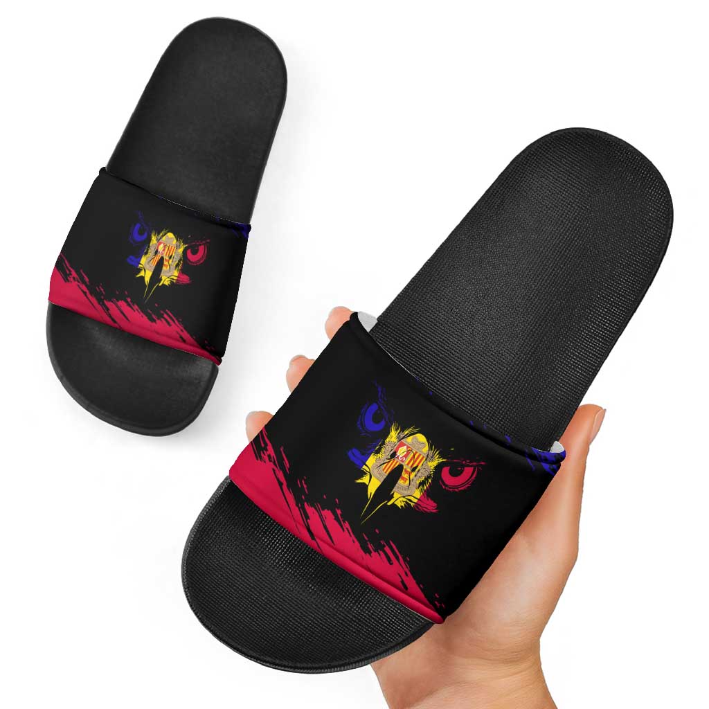 Andorra Slide Sandals with Eagle Eyes and Paint Stroke Design TS04