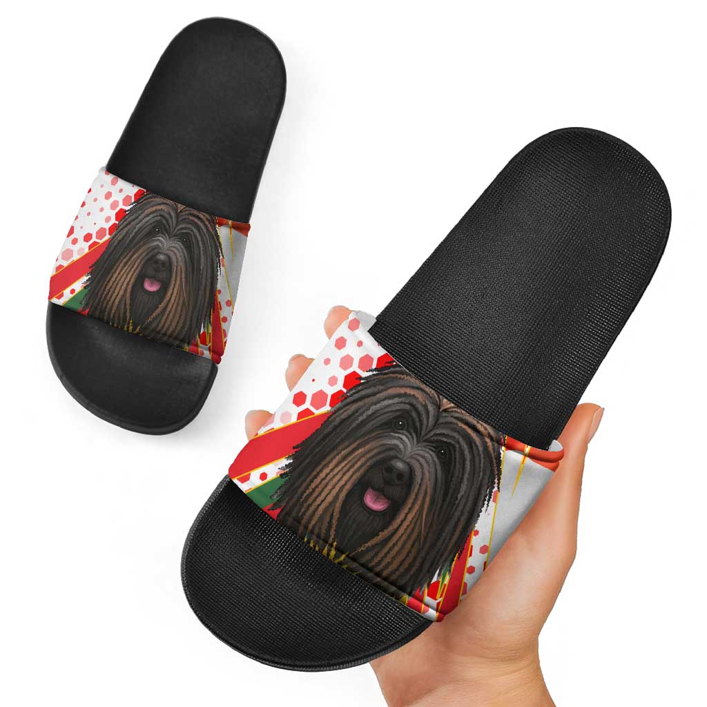 Hungary Slide Sandals with Puli Dog Illustration Design and Red Green Hexagon TS04