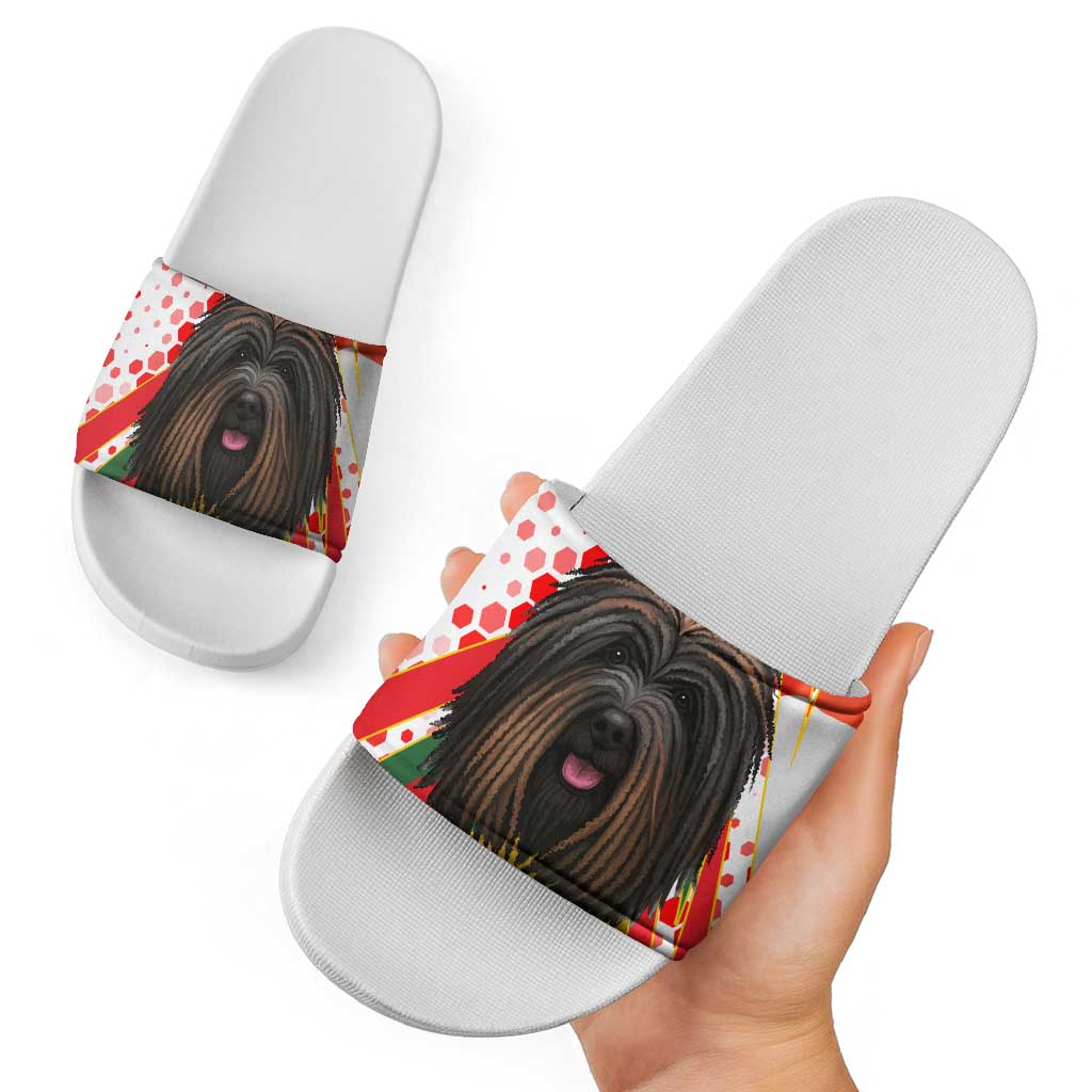 Hungary Slide Sandals with Puli Dog Illustration Design and Red Green Hexagon TS04