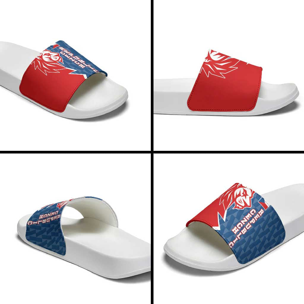 Czech Republic Slide Sandals with Red Blue Modern Lion Design and Geometric Flag TS04
