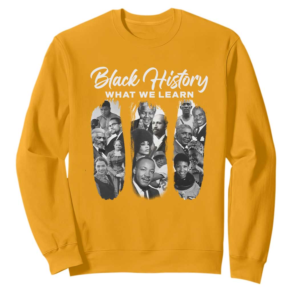 What We Learn From Black History Sweatshirt Martin Malcolm Rosa Frederick Harriet Angela TS09