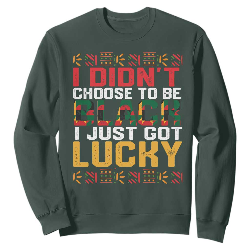 Black Pride Sweatshirt I Didn't Choose To Be Black I Just Got Lucky Black History Month TS09