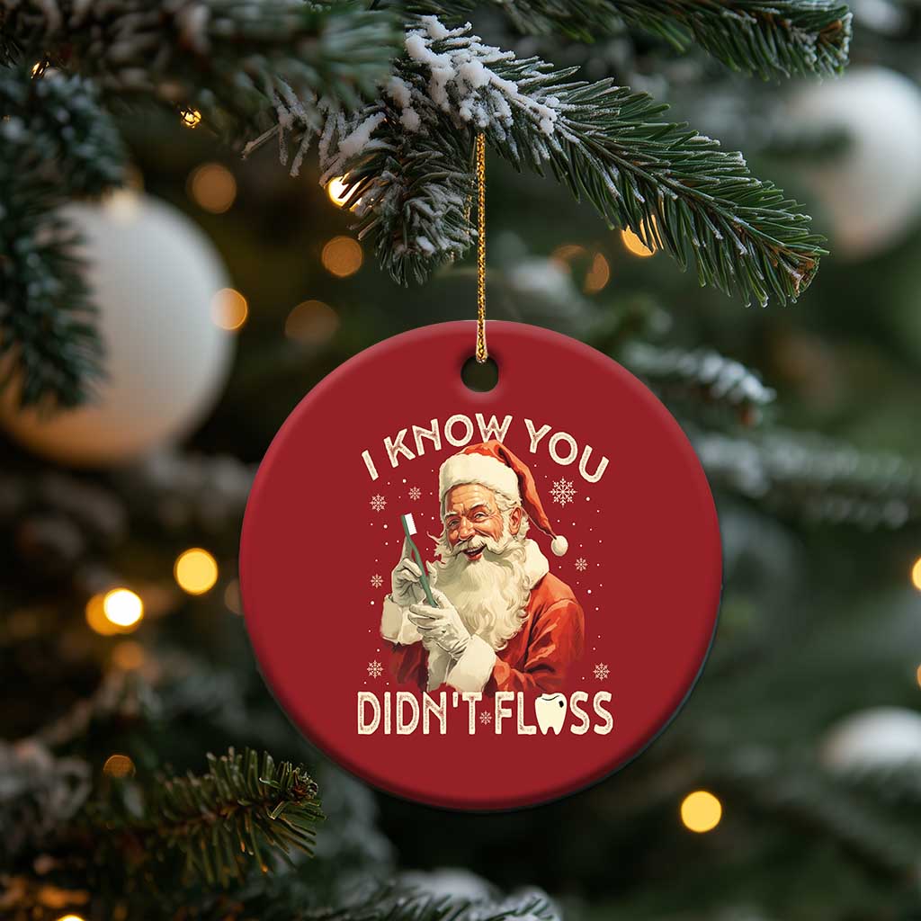 Xmas Dentist Christmas Ornament I Know You Didn't Floss Dental Santa TS09