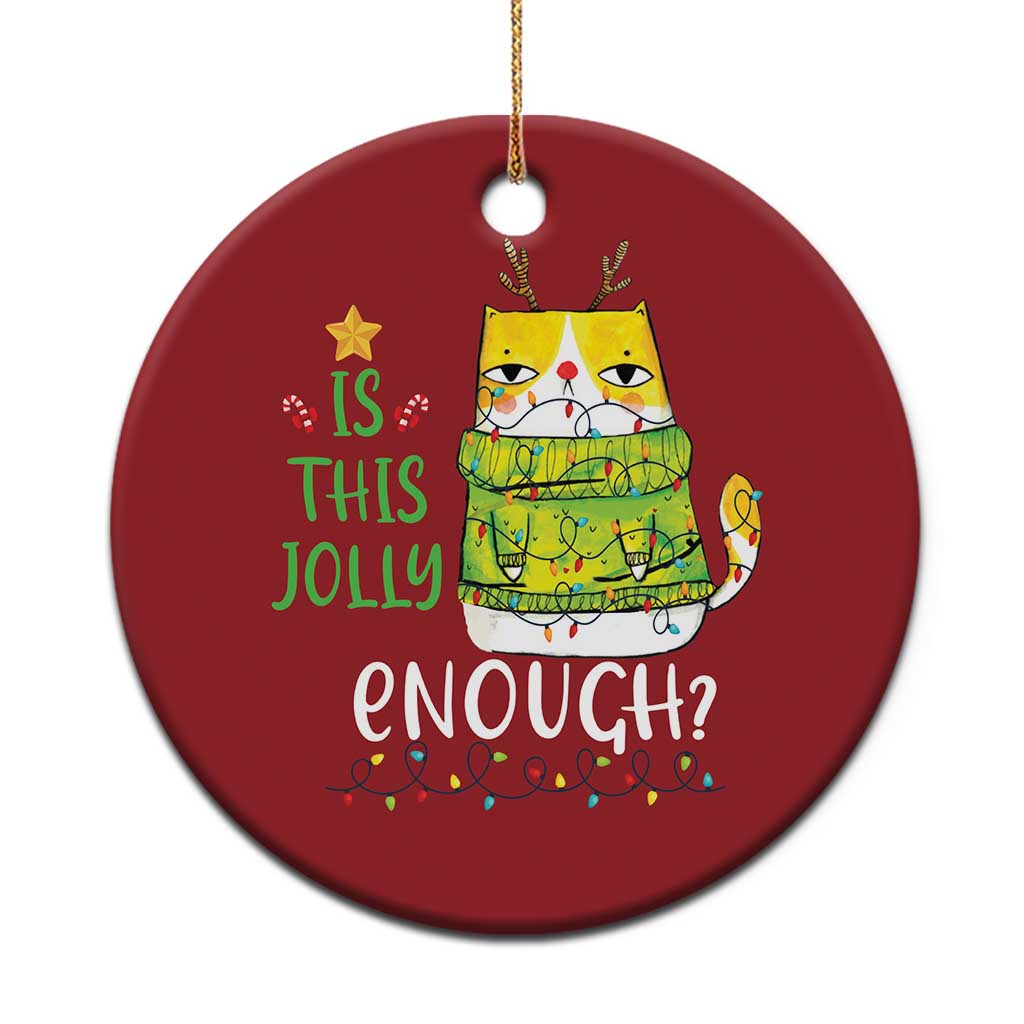 Funny Xmas Cat Christmas Ornament Is This Jolly Enough Reindeer Angry Cat TS09