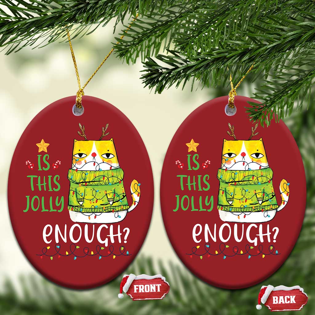 Funny Xmas Cat Christmas Ornament Is This Jolly Enough Reindeer Angry Cat TS09