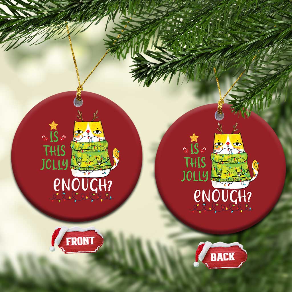 Funny Xmas Cat Christmas Ornament Is This Jolly Enough Reindeer Angry Cat TS09