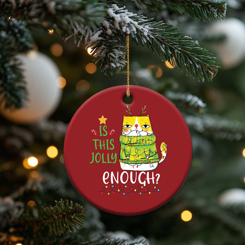 Funny Xmas Cat Christmas Ornament Is This Jolly Enough Reindeer Angry Cat TS09