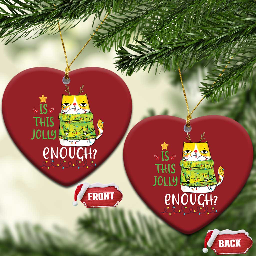 Funny Xmas Cat Christmas Ornament Is This Jolly Enough Reindeer Angry Cat TS09