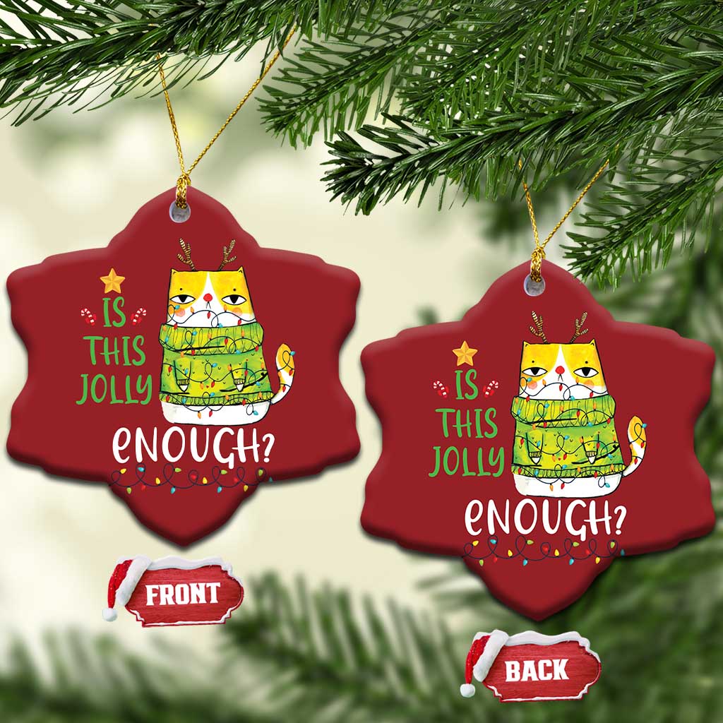 Funny Xmas Cat Christmas Ornament Is This Jolly Enough Reindeer Angry Cat TS09