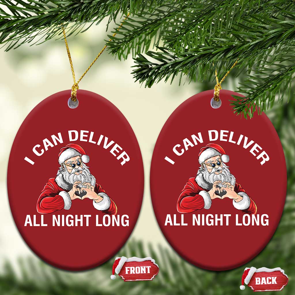 Funny Xmas Christmas Ornament I Can Deliver All Night Long TS09