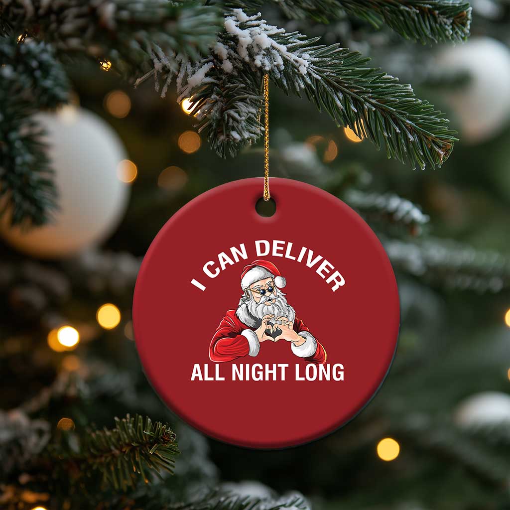 Funny Xmas Christmas Ornament I Can Deliver All Night Long TS09
