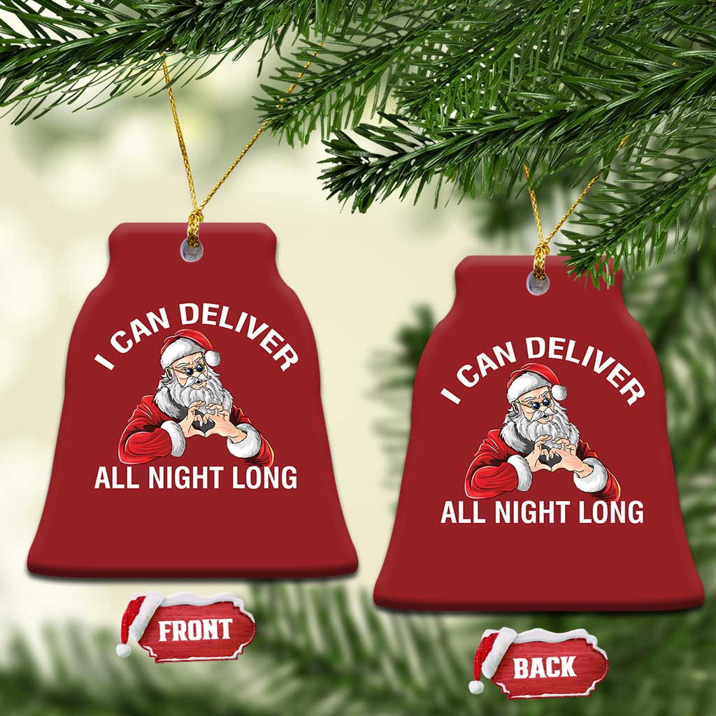 Funny Xmas Christmas Ornament I Can Deliver All Night Long TS09
