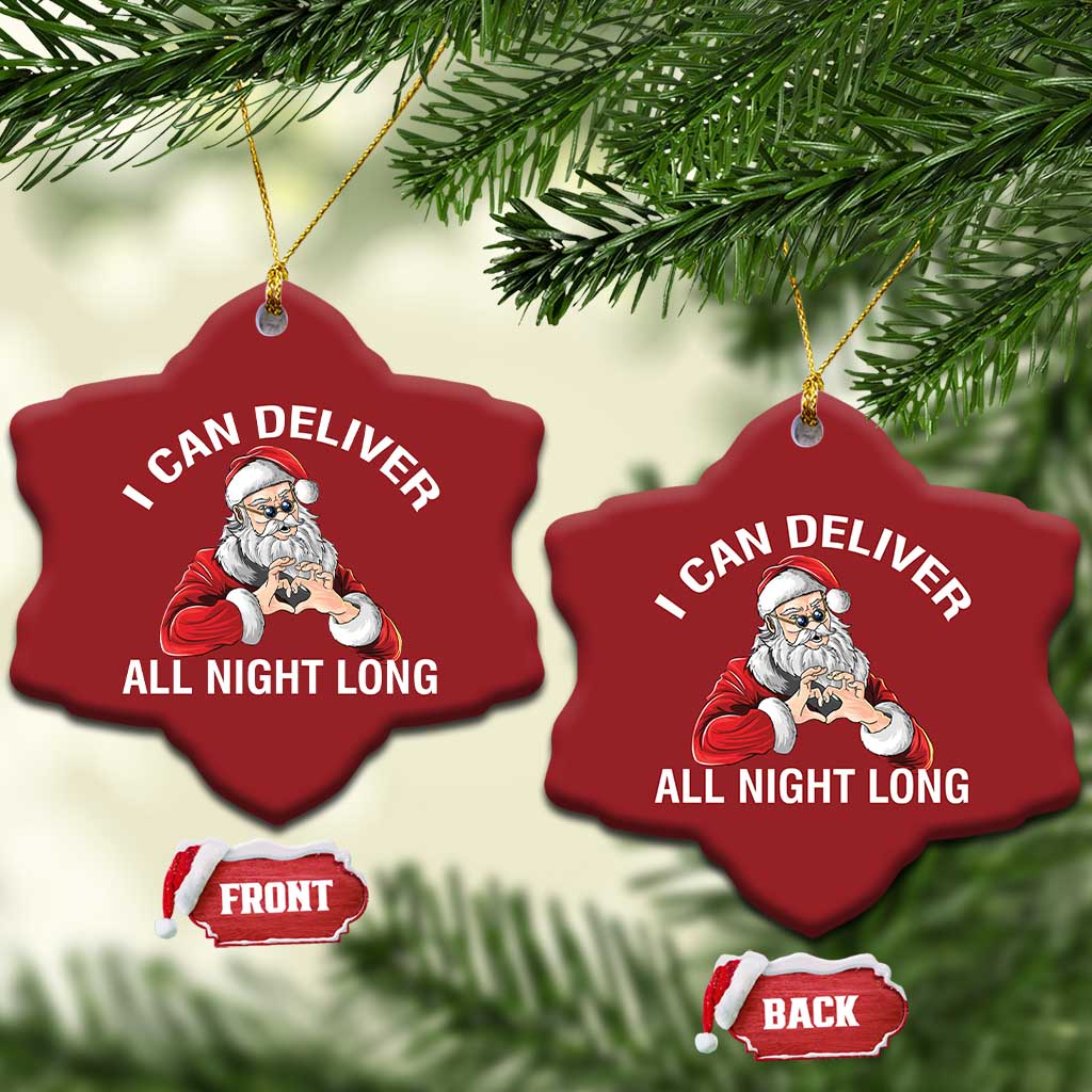 Funny Xmas Christmas Ornament I Can Deliver All Night Long TS09