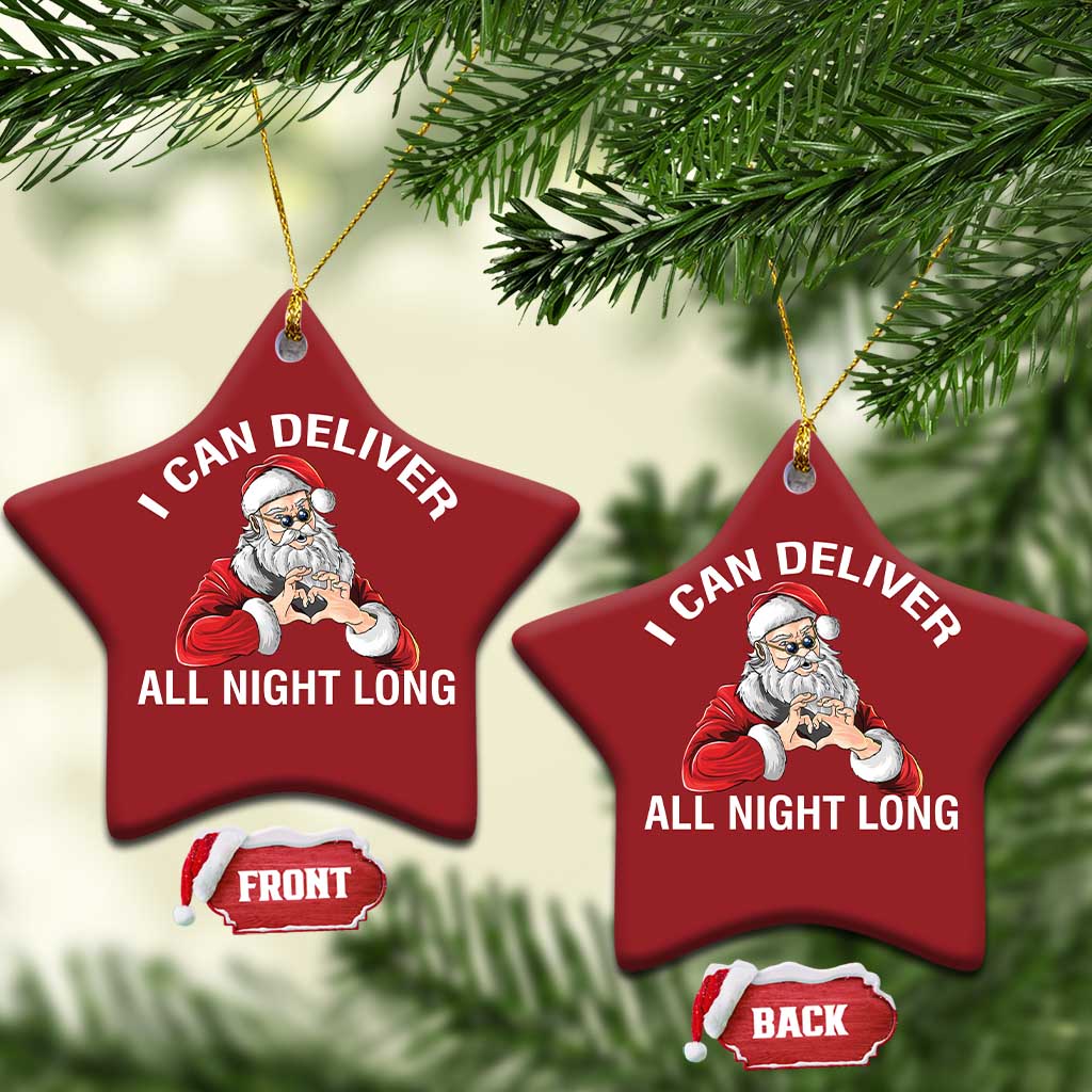 Funny Xmas Christmas Ornament I Can Deliver All Night Long TS09