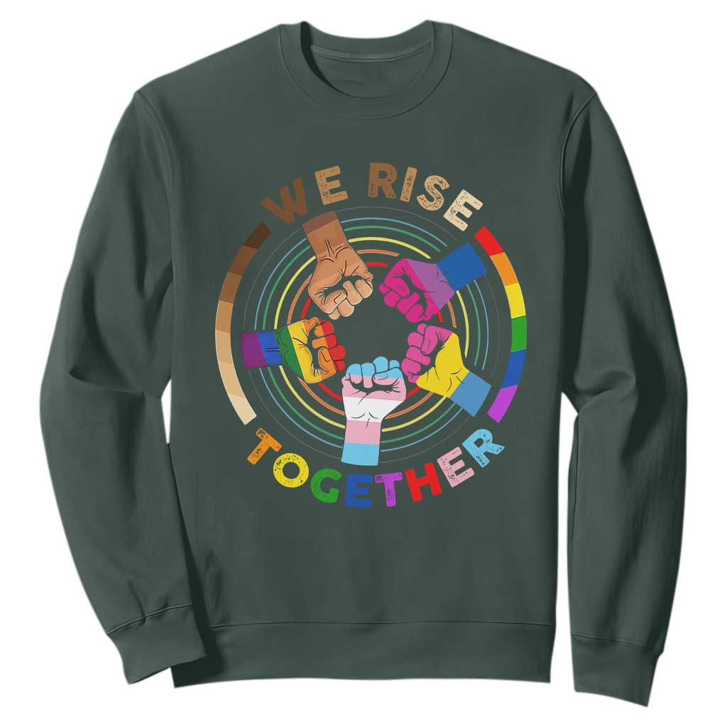 Black History Month Sweatshirt We Rise Together Equality Awesome Melanin LGBT TS09