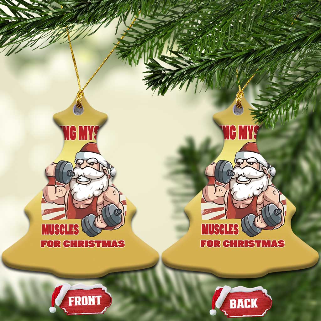 Xmas Santa Gymer Christmas Ornament Civing Muscles Santa Weightlifting TS09