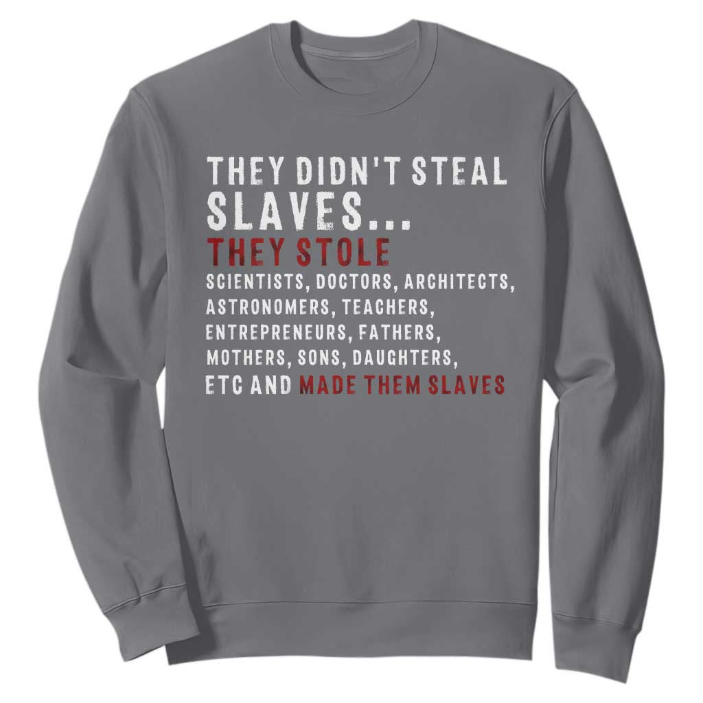 Black History Sweatshirt They Didn't Steal Slaves They Stolen And Made Them Slaves TS09