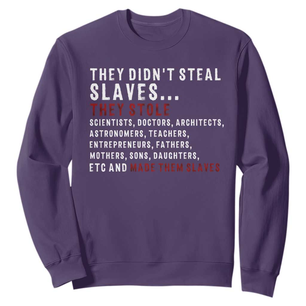Black History Sweatshirt They Didn't Steal Slaves They Stolen And Made Them Slaves TS09