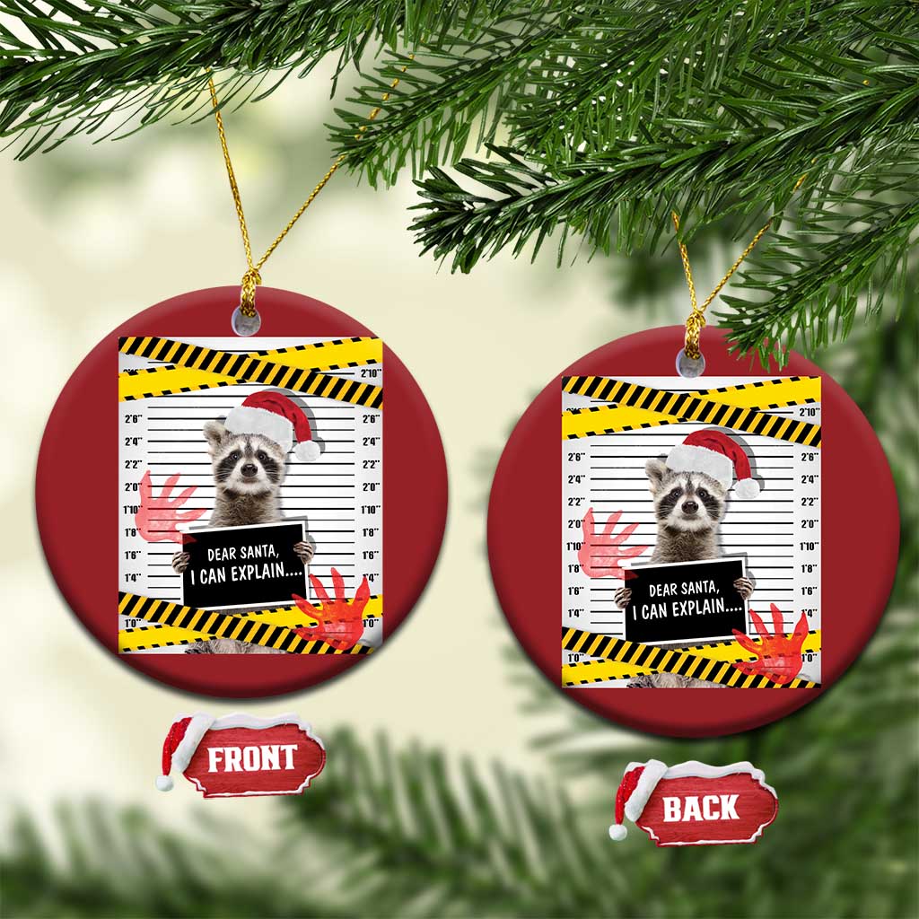 Funny Xmas Raccoon Christmas Ornament Dear Santa I Can Explain TS09