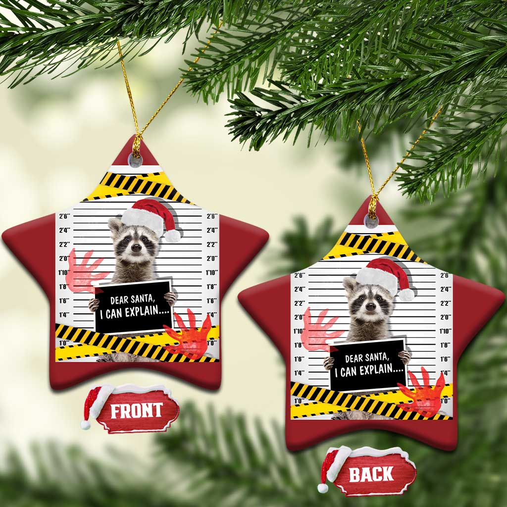 Funny Xmas Raccoon Christmas Ornament Dear Santa I Can Explain TS09