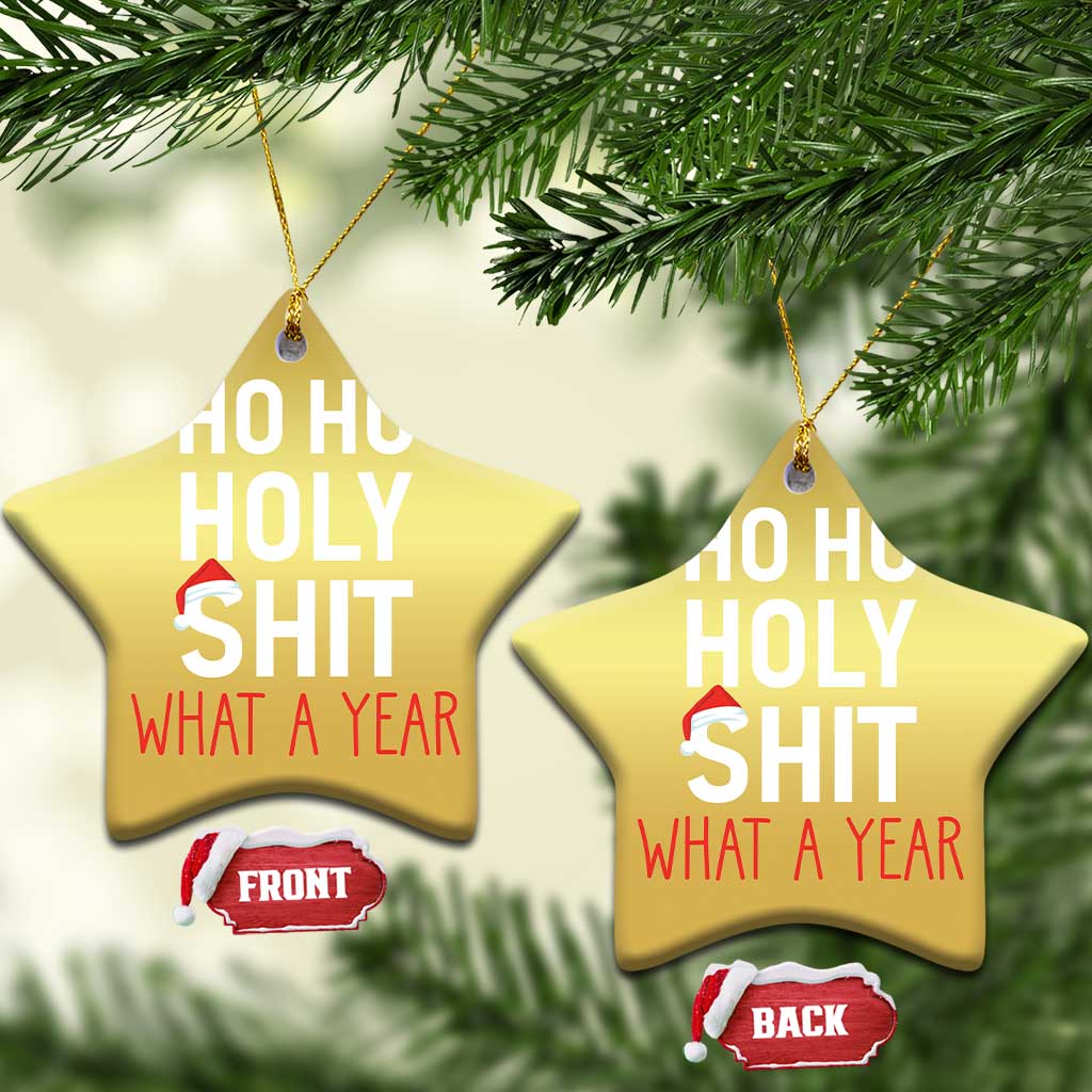 Funny Xmas Christmas Ornament Ho Ho Holy Shit What A Year TS09