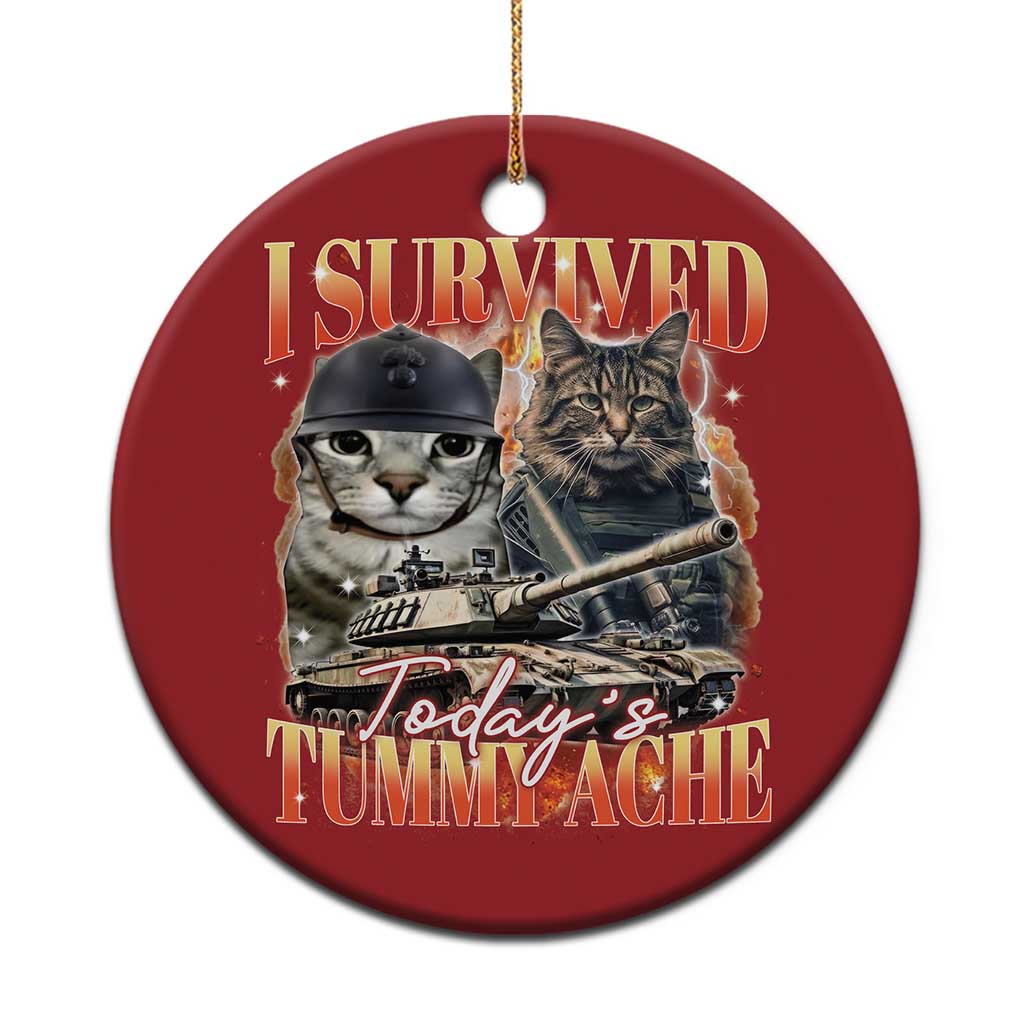 Tummy Ache Survivor Cat Meme Christmas Ornament Funny Saying Cats Bootleg TS10