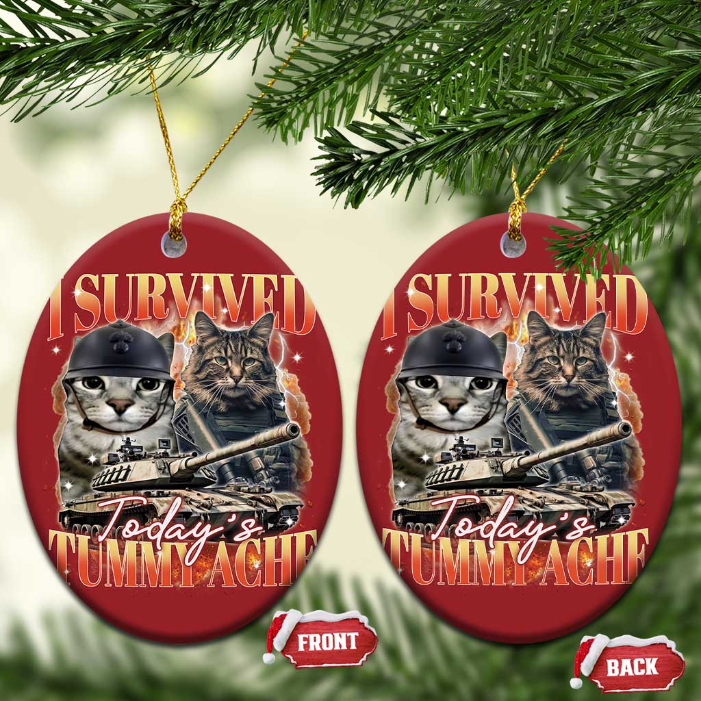 Tummy Ache Survivor Cat Meme Christmas Ornament Funny Saying Cats Bootleg TS10