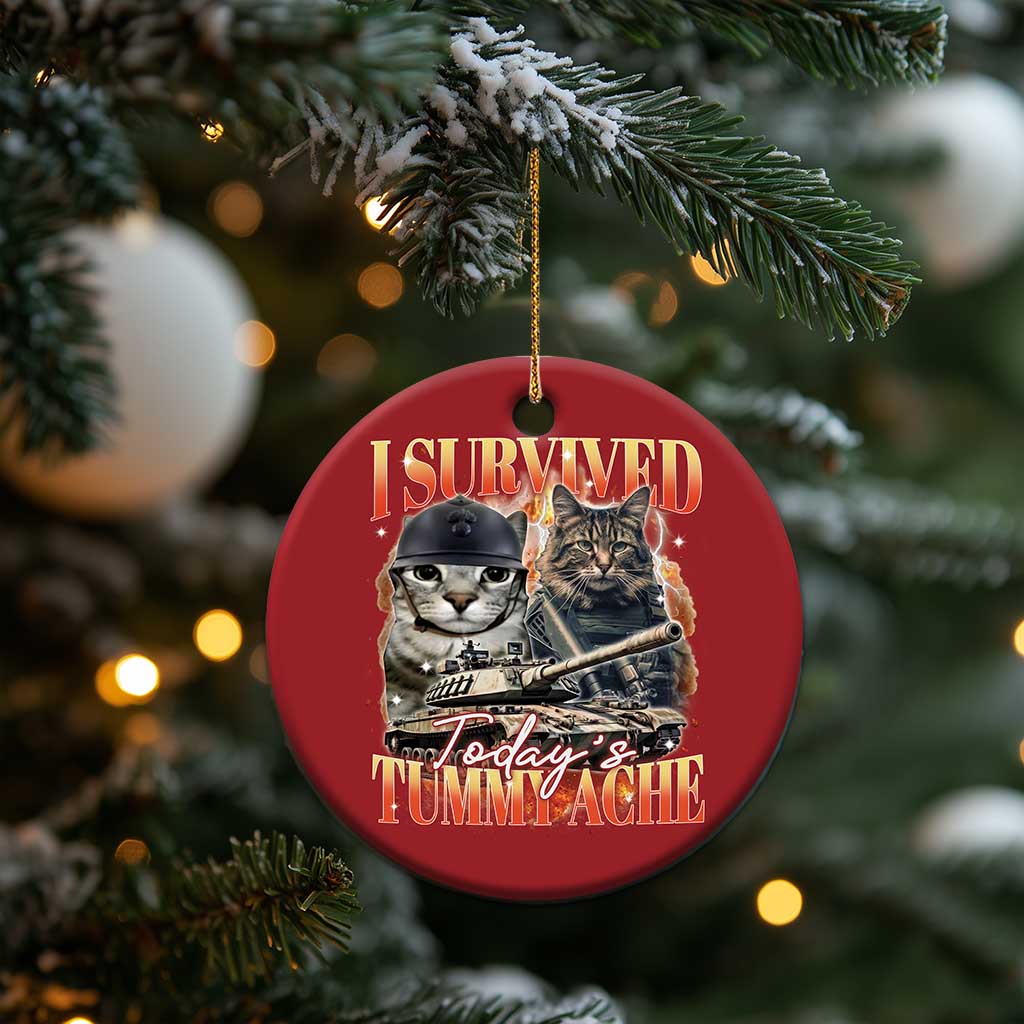 Tummy Ache Survivor Cat Meme Christmas Ornament Funny Saying Cats Bootleg TS10