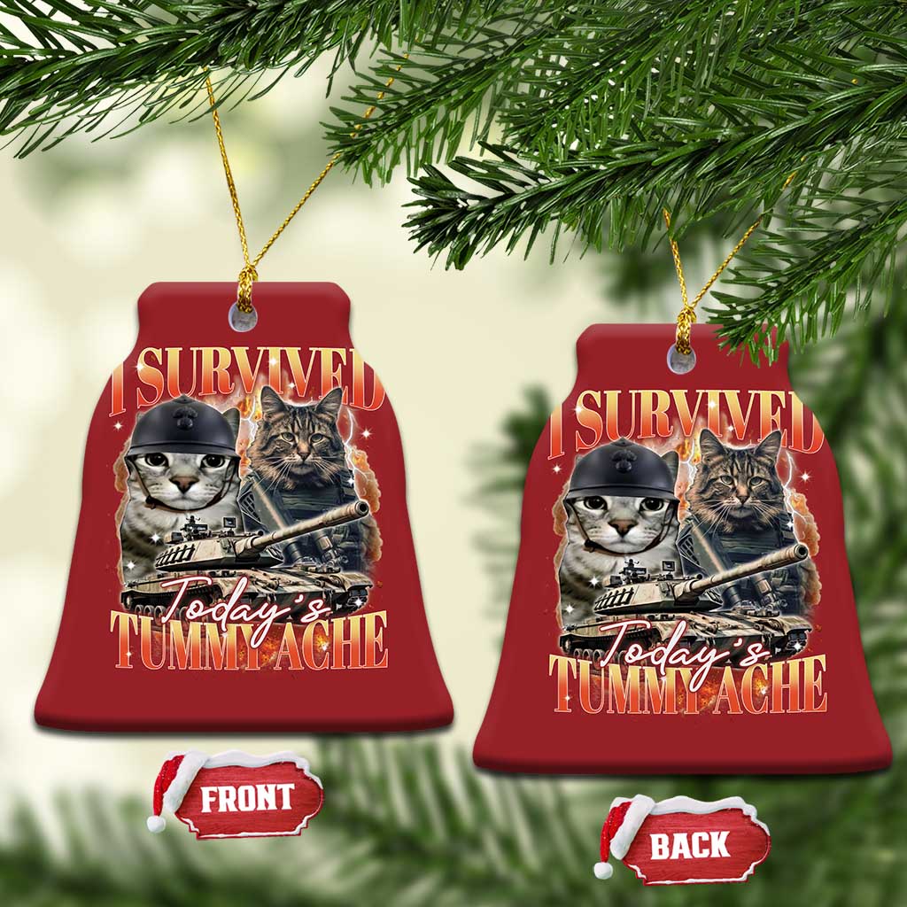 Tummy Ache Survivor Cat Meme Christmas Ornament Funny Saying Cats Bootleg TS10