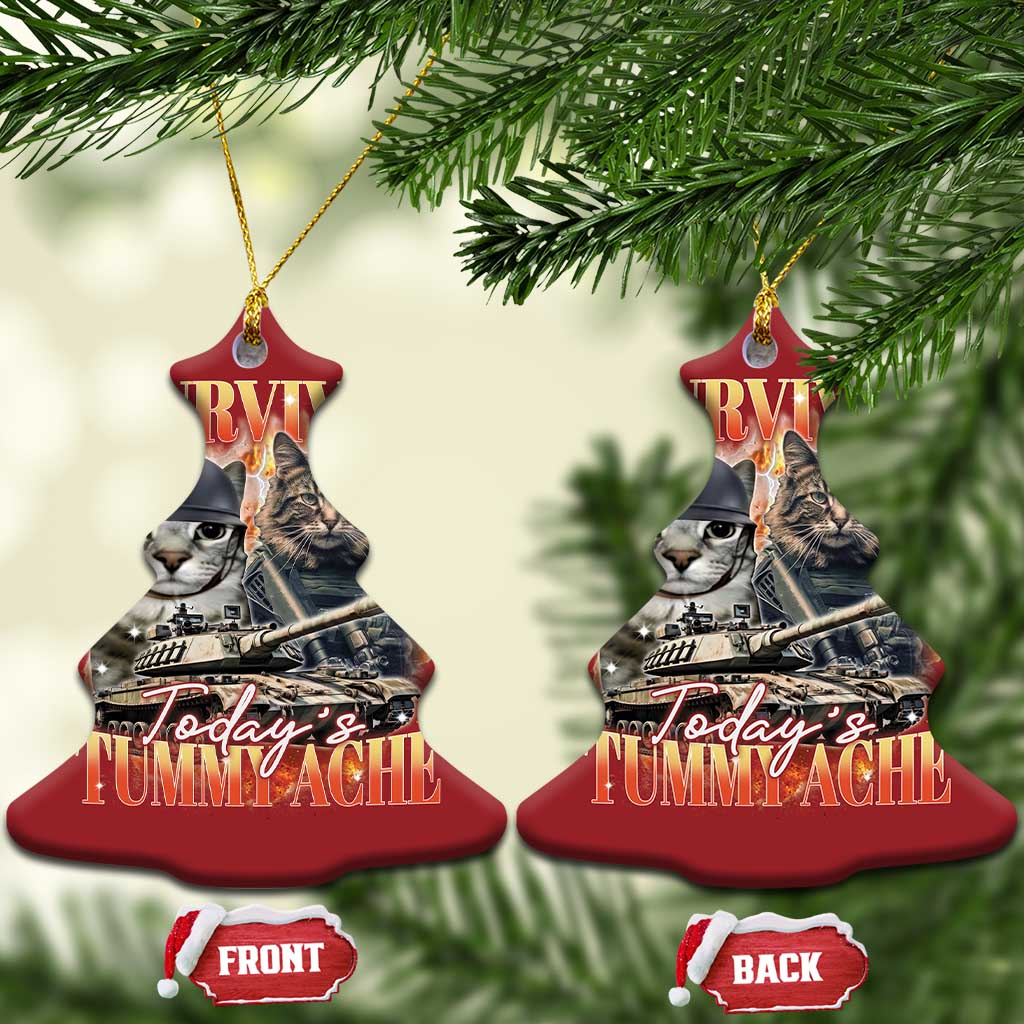 Tummy Ache Survivor Cat Meme Christmas Ornament Funny Saying Cats Bootleg TS10