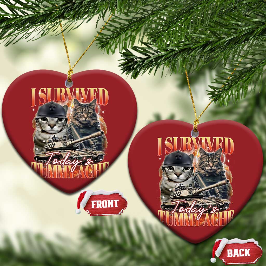 Tummy Ache Survivor Cat Meme Christmas Ornament Funny Saying Cats Bootleg TS10