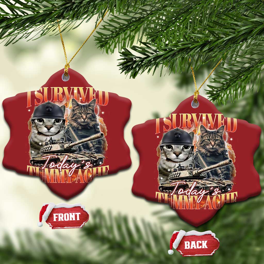 Tummy Ache Survivor Cat Meme Christmas Ornament Funny Saying Cats Bootleg TS10