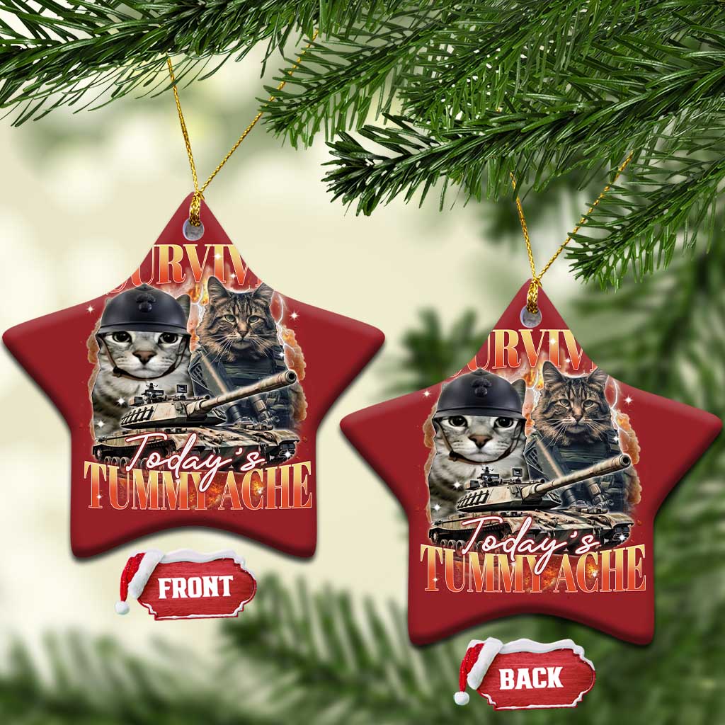 Tummy Ache Survivor Cat Meme Christmas Ornament Funny Saying Cats Bootleg TS10