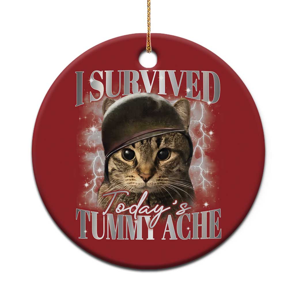 Tummy Ache Survivor Cat Meme Christmas Ornament Funny Saying Cats Cat Bootleg TS10