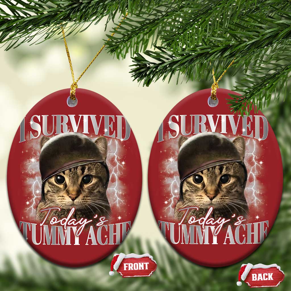 Tummy Ache Survivor Cat Meme Christmas Ornament Funny Saying Cats Cat Bootleg TS10