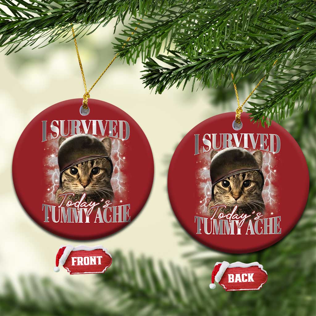 Tummy Ache Survivor Cat Meme Christmas Ornament Funny Saying Cats Cat Bootleg TS10