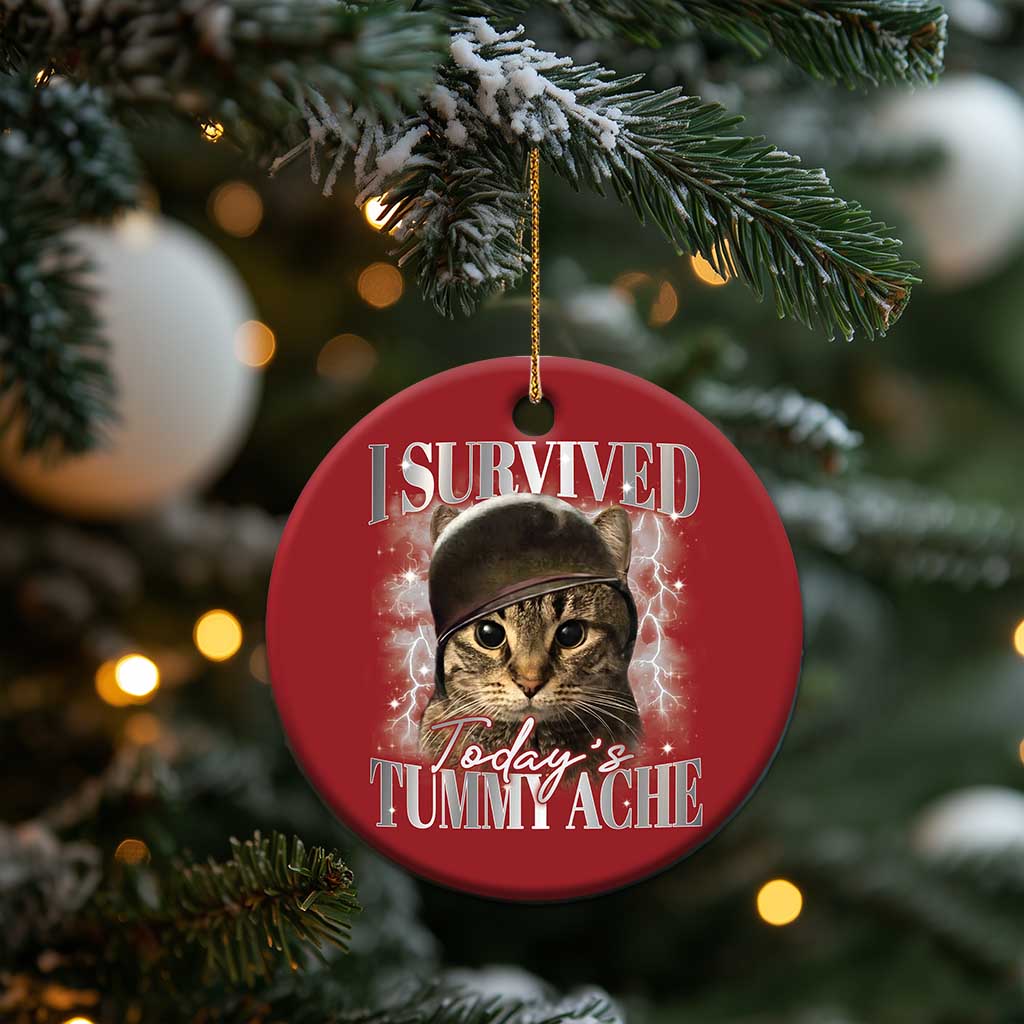 Tummy Ache Survivor Cat Meme Christmas Ornament Funny Saying Cats Cat Bootleg TS10