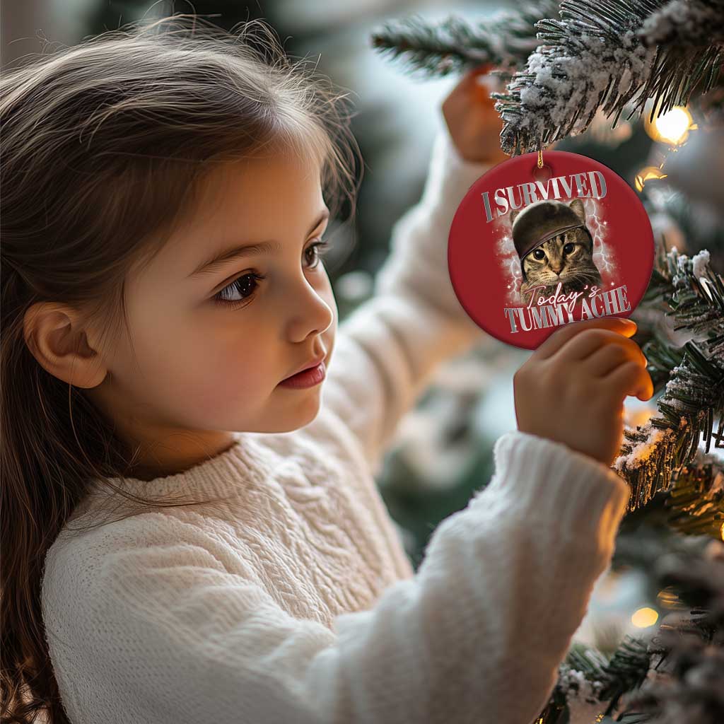Tummy Ache Survivor Cat Meme Christmas Ornament Funny Saying Cats Cat Bootleg TS10