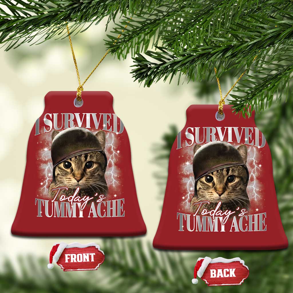Tummy Ache Survivor Cat Meme Christmas Ornament Funny Saying Cats Cat Bootleg TS10