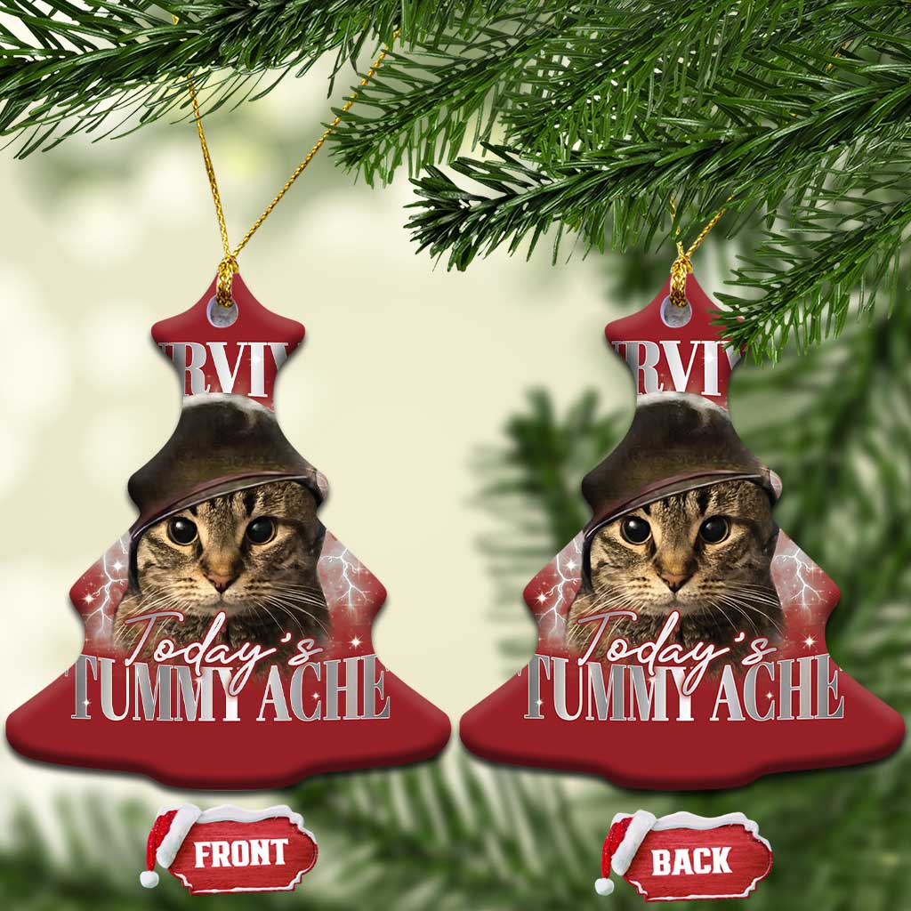 Tummy Ache Survivor Cat Meme Christmas Ornament Funny Saying Cats Cat Bootleg TS10