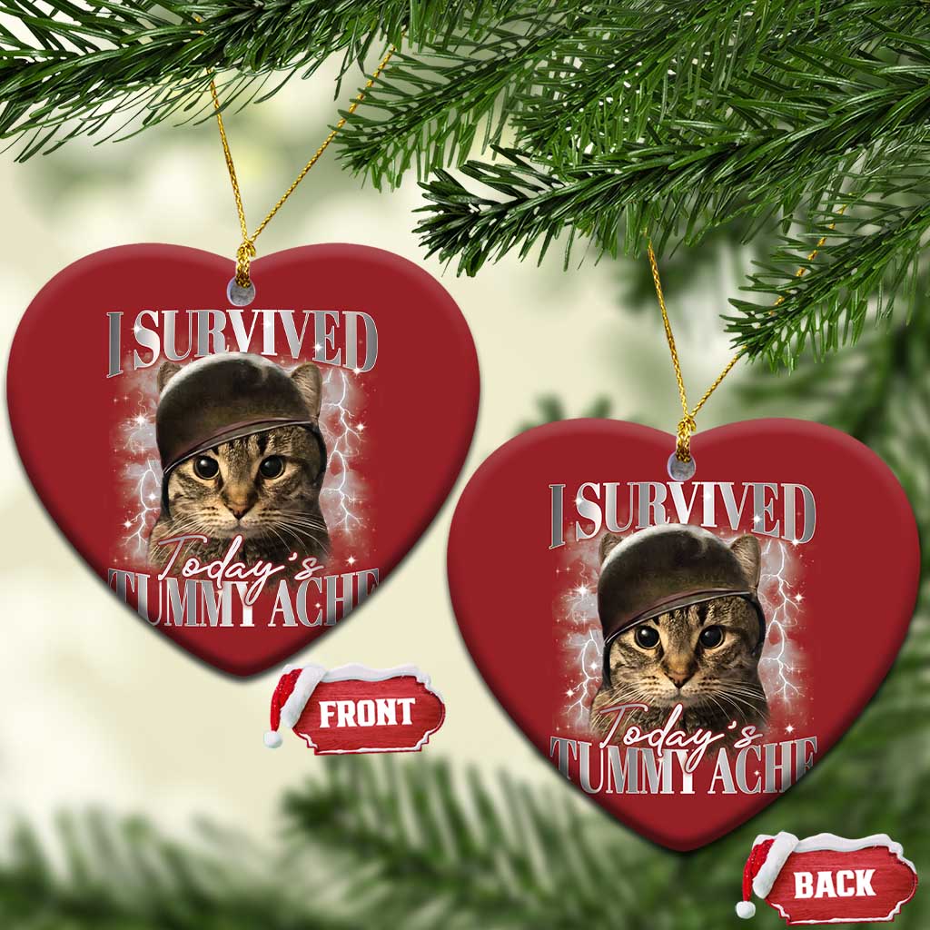 Tummy Ache Survivor Cat Meme Christmas Ornament Funny Saying Cats Cat Bootleg TS10