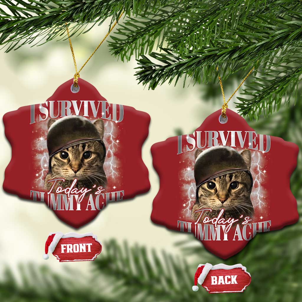 Tummy Ache Survivor Cat Meme Christmas Ornament Funny Saying Cats Cat Bootleg TS10