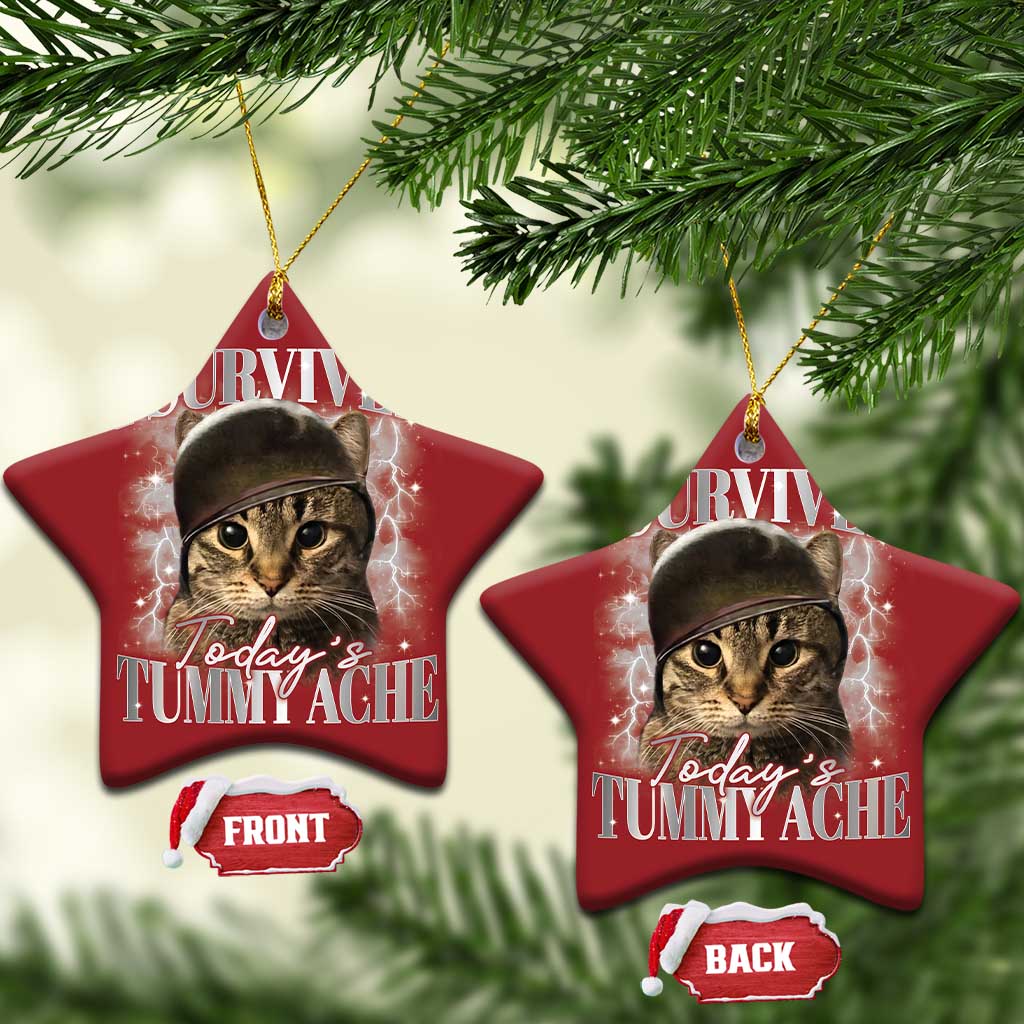 Tummy Ache Survivor Cat Meme Christmas Ornament Funny Saying Cats Cat Bootleg TS10