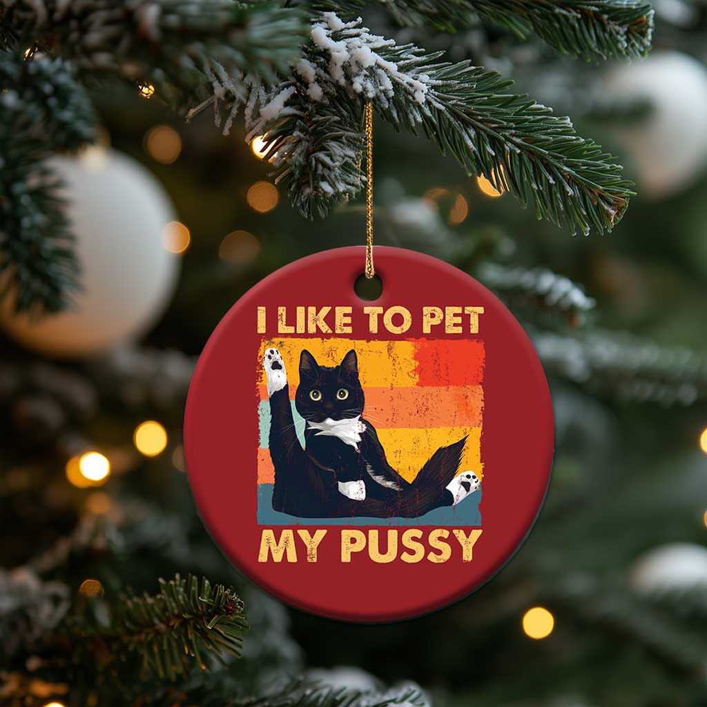 Funny Humor Saying Cat Christmas Ornament I Like To Pet My Pussy Naughty Vintage TS10