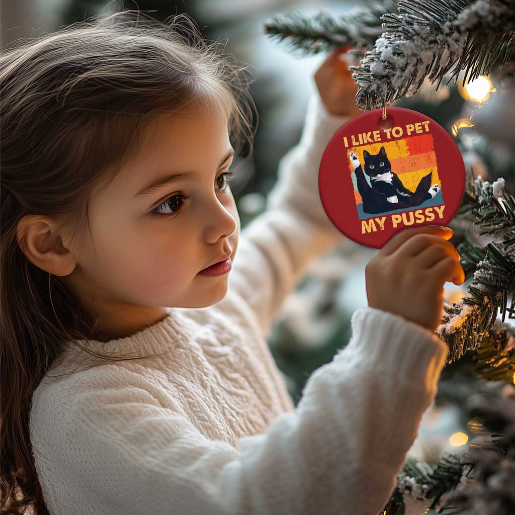 Funny Humor Saying Cat Christmas Ornament I Like To Pet My Pussy Naughty Vintage TS10
