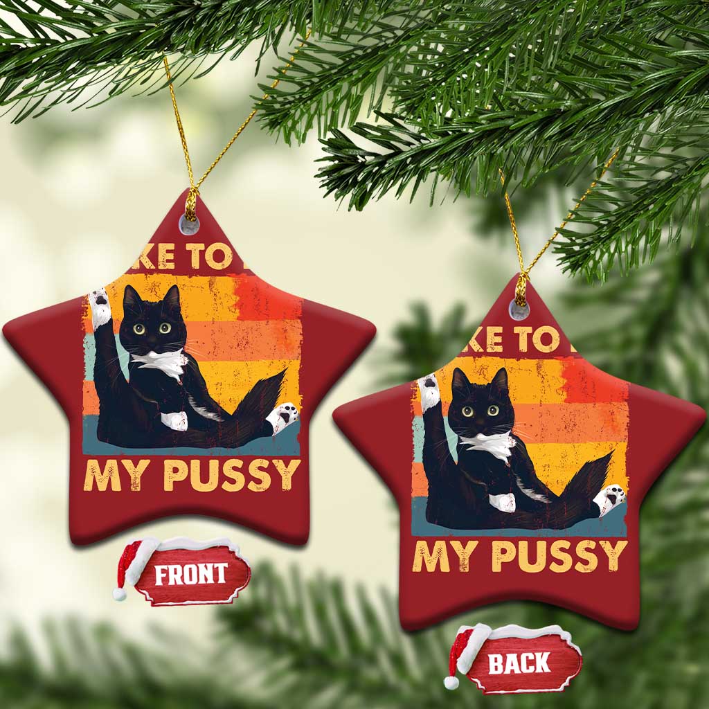 Funny Humor Saying Cat Christmas Ornament I Like To Pet My Pussy Naughty Vintage TS10
