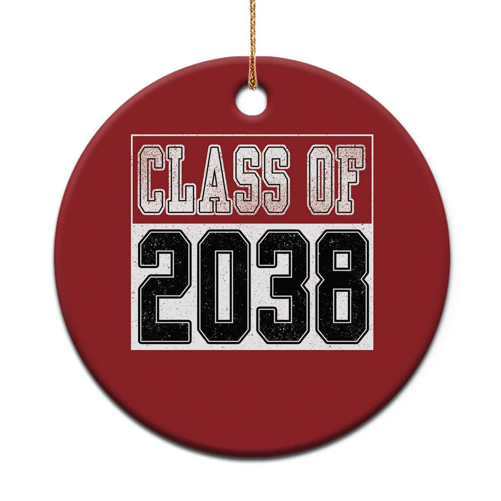 Class of 2038 Christmas Ornament Grow With Me To Graduation TS10