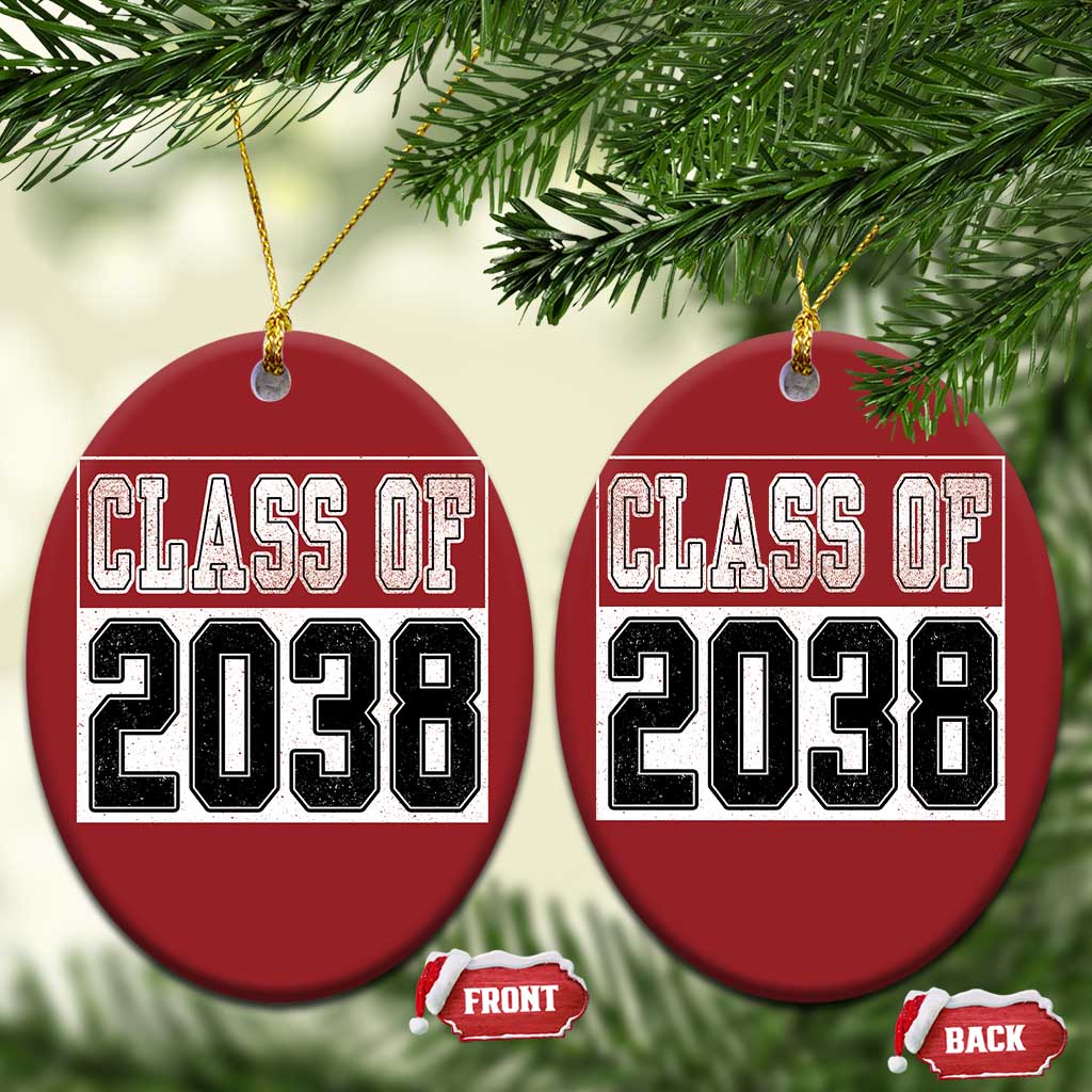 Class of 2038 Christmas Ornament Grow With Me To Graduation TS10