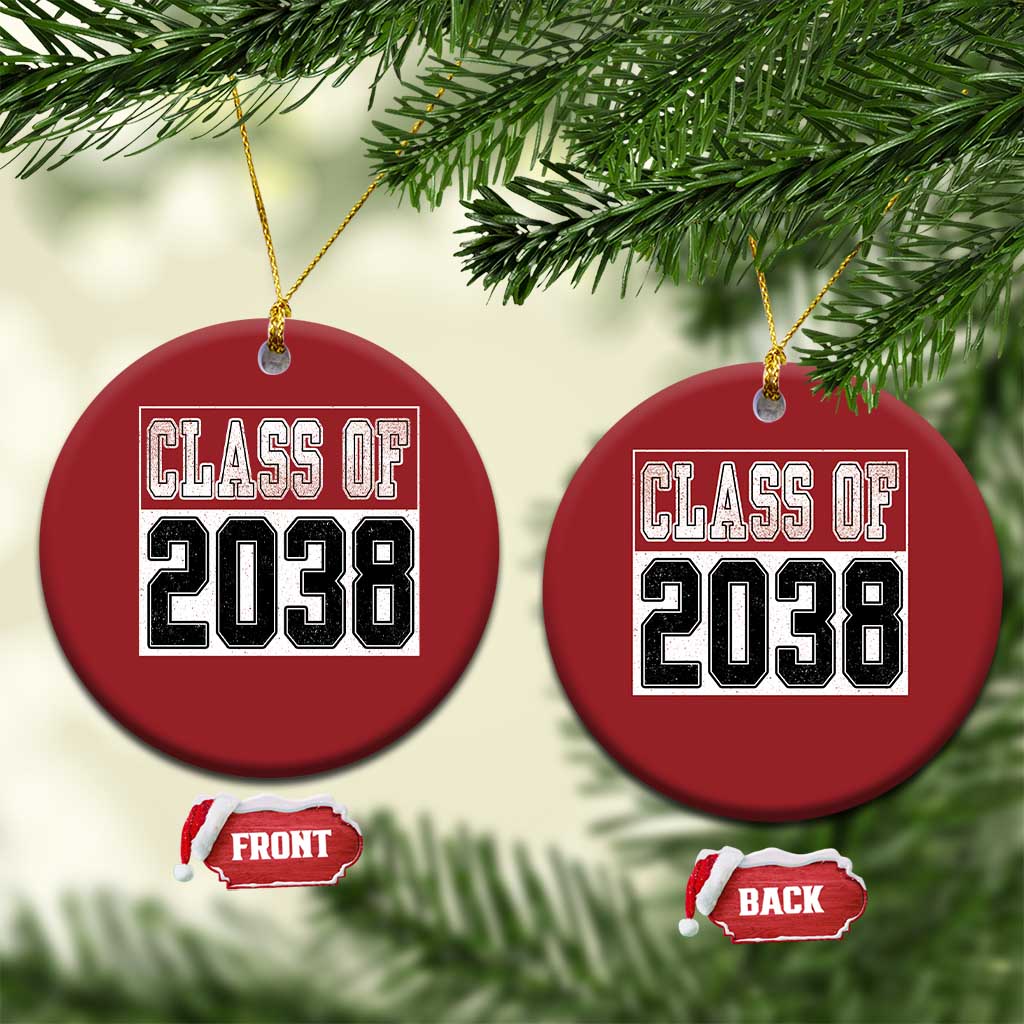 Class of 2038 Christmas Ornament Grow With Me To Graduation TS10