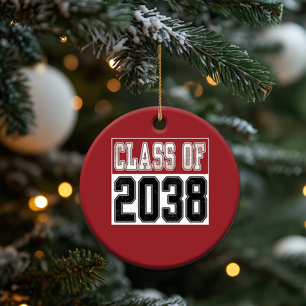 Class of 2038 Christmas Ornament Grow With Me To Graduation TS10